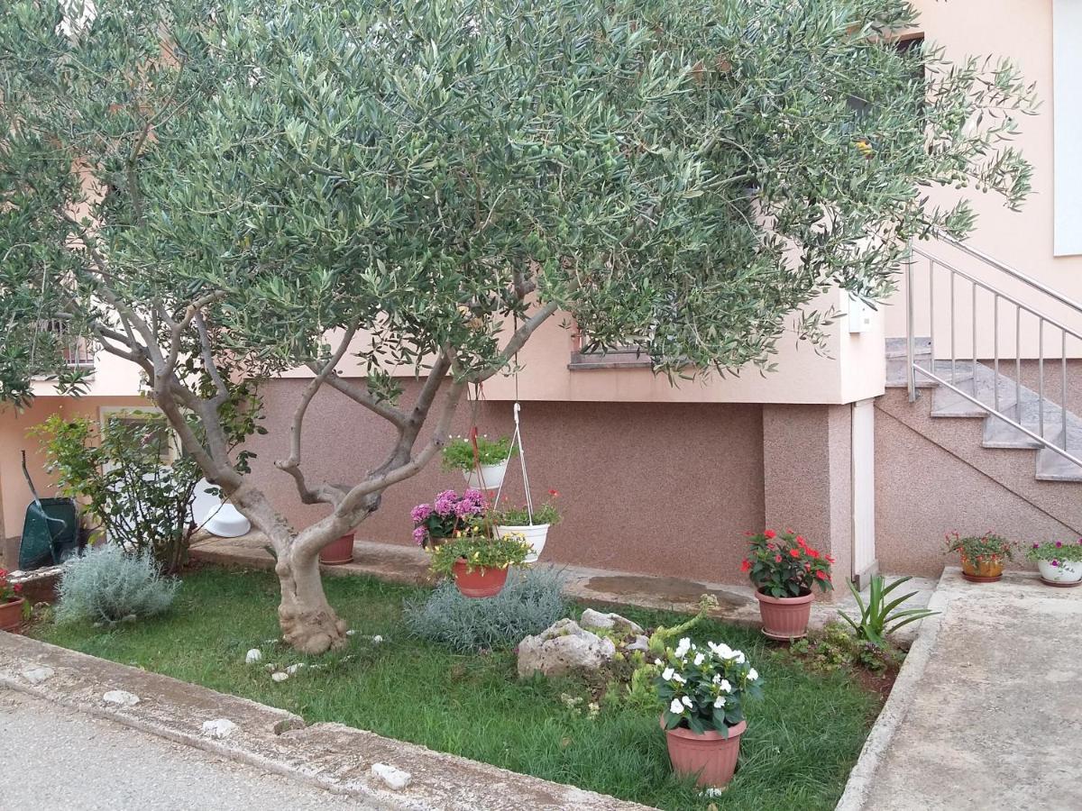 Apartments Ivan Zadar Extérieur photo